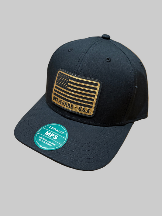 Delaware USA snap back
