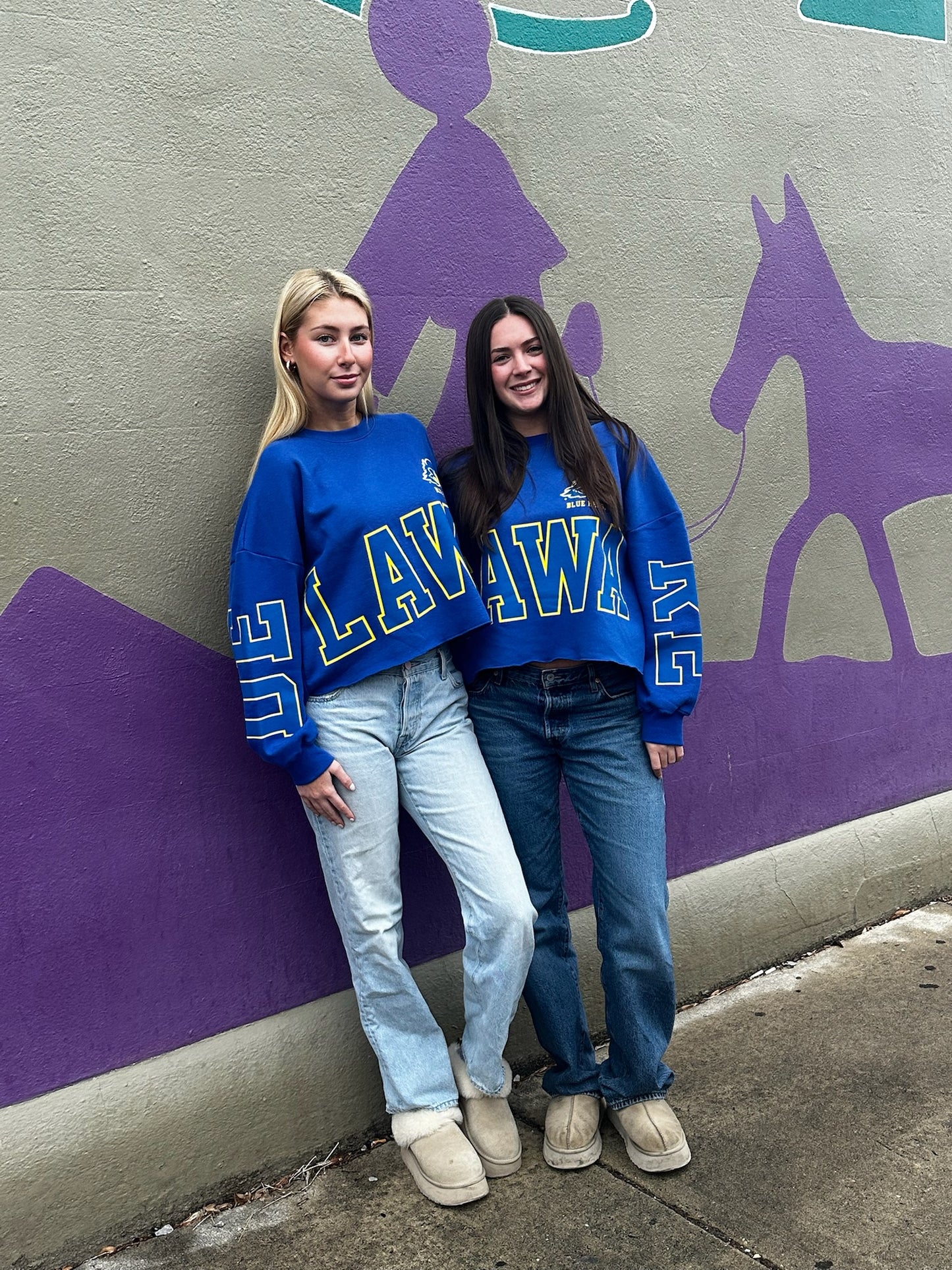 DE Blue Hens Game day midi
